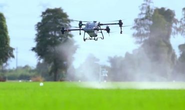 قیمت و خرید پهپاد سمپاش و کودپاش Dji T50 و Dji T25