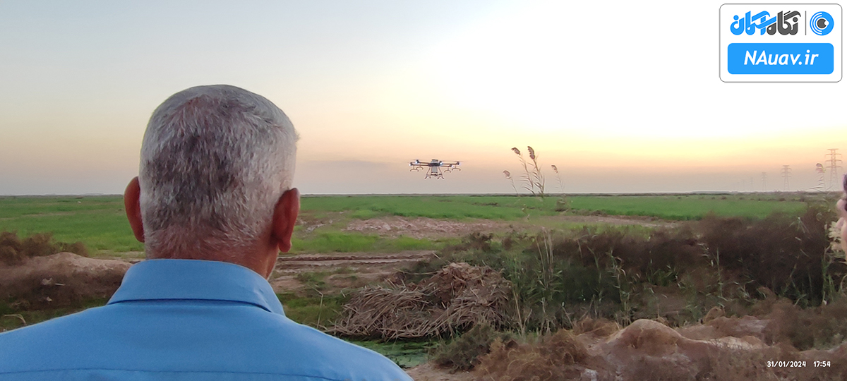 آقای ناصری در حال پرواز با پهپاد سمپاش